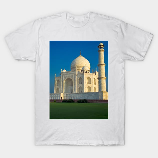 Taj Mahal in Early Morning Light T-Shirt by BrianPShaw